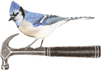 Jay Eckert Constuction Inc. Logo, Blue Jay on Hammer