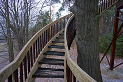 Tree House Helical Stair